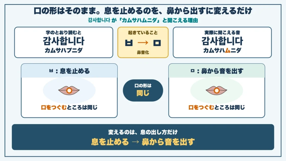 감사합니다 が「カムサハムニダ」と聞こえる理由。字のとおりならカムサハプニダだが、ㅂがㅁに変わる。ㅂもㅁも口をつぐむところは同じで、変えるのは息の出し方だけ。息を止めるのを、鼻から音を出すに変える